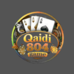 Qaidi804-Game