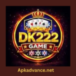 DK222-Game