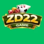 ZD22_Game