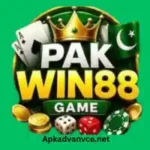 PAKWIN88-Game